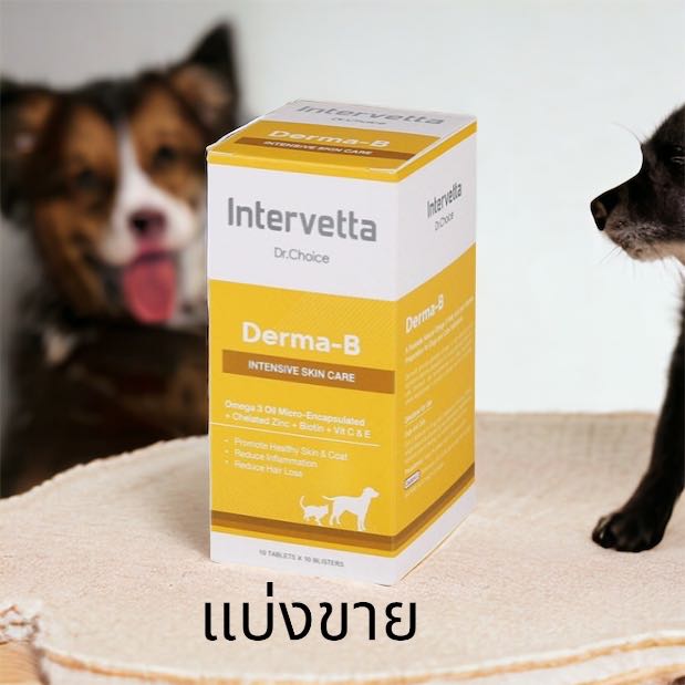 (1แผง 10 เม็ด)Dr.Choice Derma-B Exp.14/7/2026 วิตามิน อาหารเสริม บำรุงผิวหนัง บำรุงขน สุนัข แมว