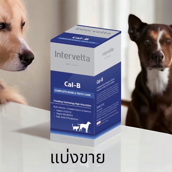 (แบ่งขาย 1 แผง 10 เม็ด)Dr.Choice Cal-B แคลเซียมสำหรับ น้องหมาน้องแมว  Exp3/3/2026