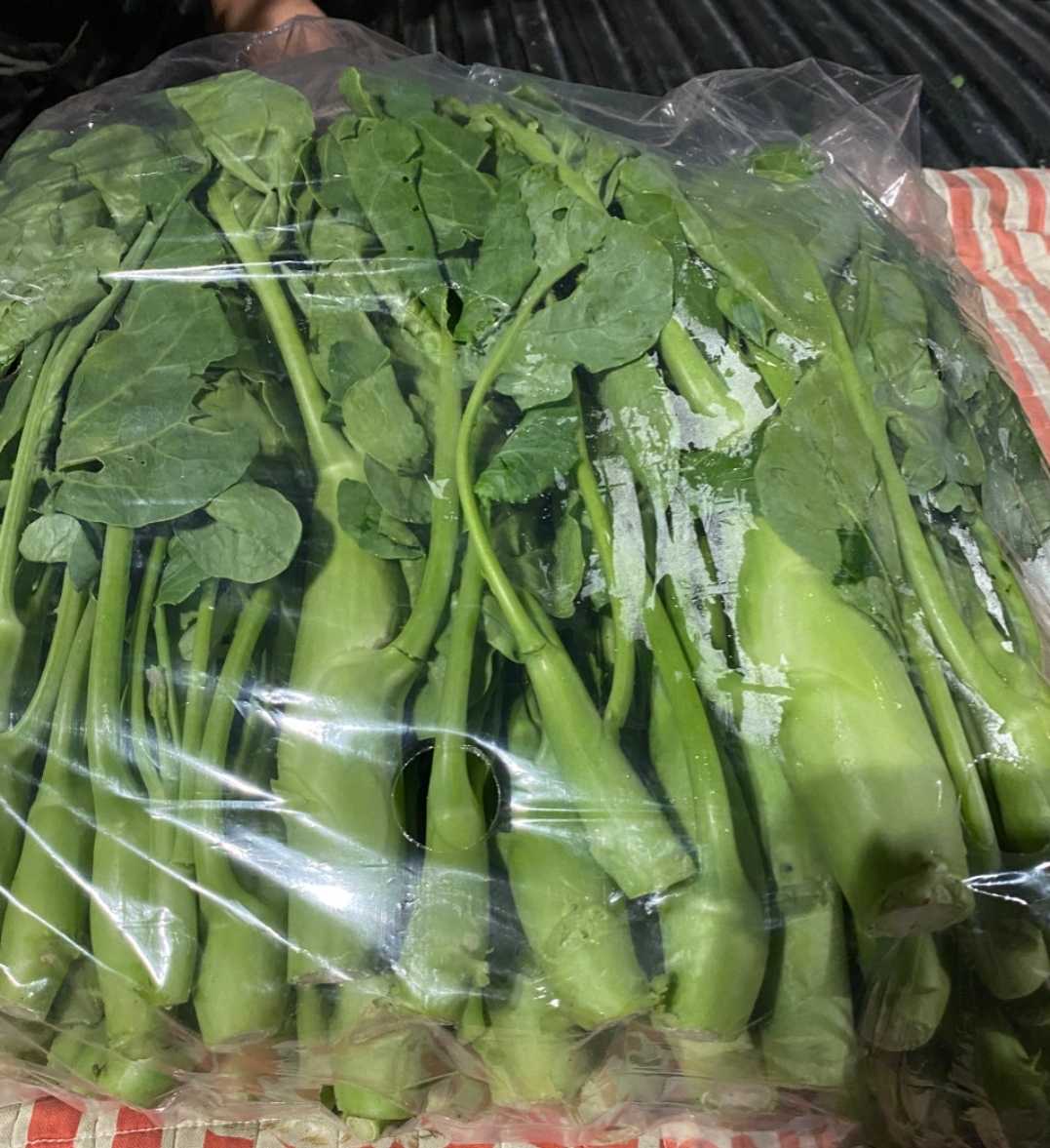 คะน้าฮ่องกง คะน้าอ้วน