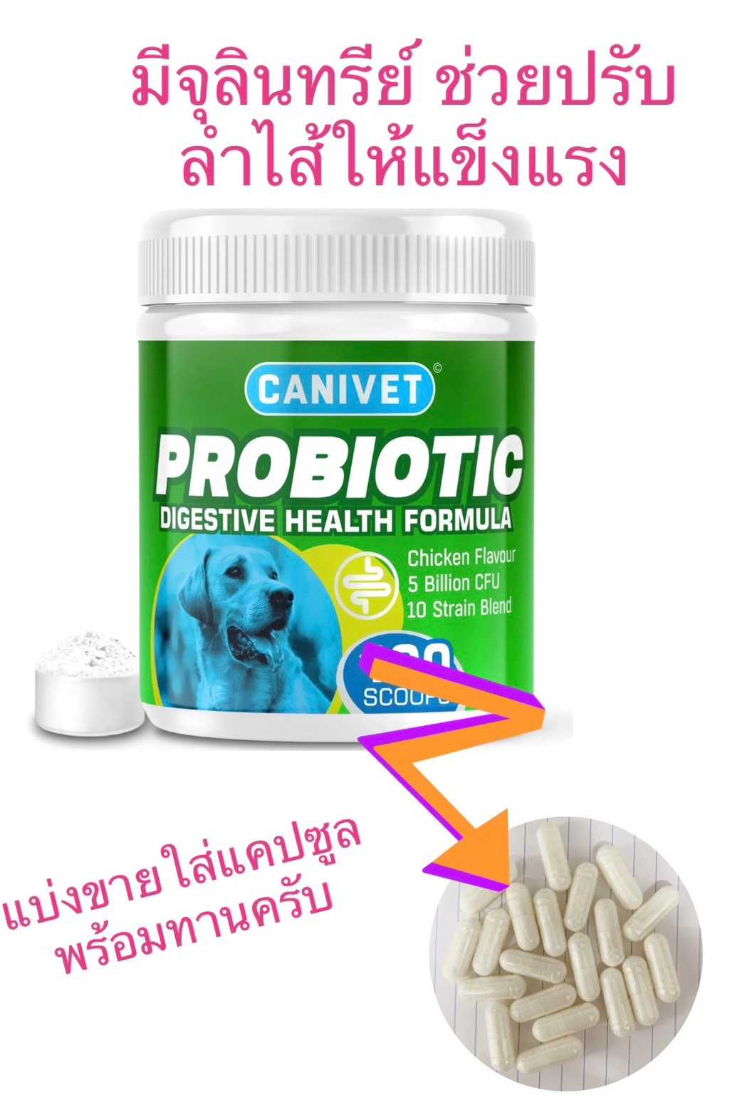 Probiotic แบ่งใส่แคปซูลขาย 10 เม็ด ช่วยเสริมระบบทางเดินอาหารสำหรับสัตว์เลี้ยง