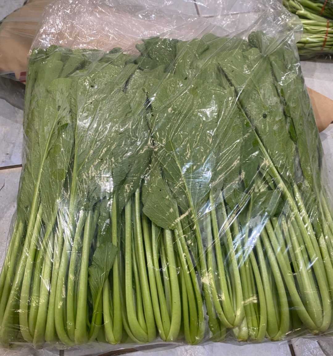 กวางตุ้งใบ