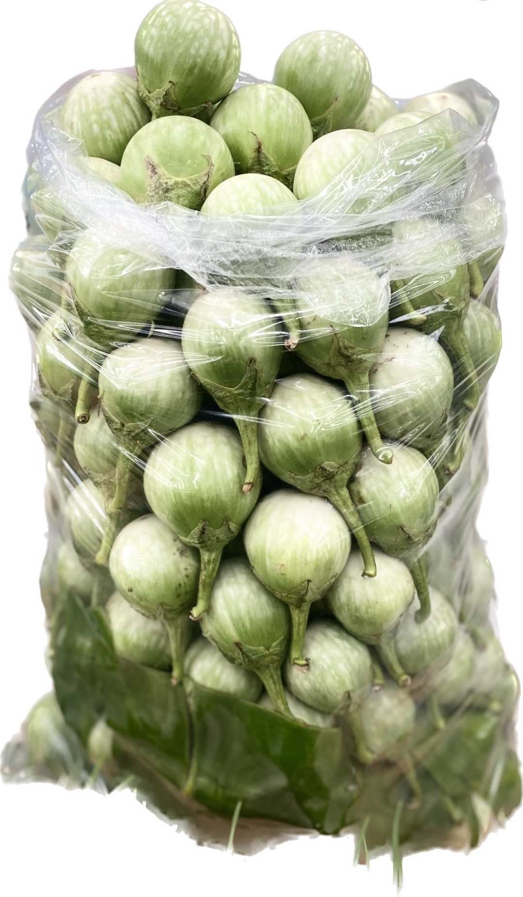 มะเขือเปราะ