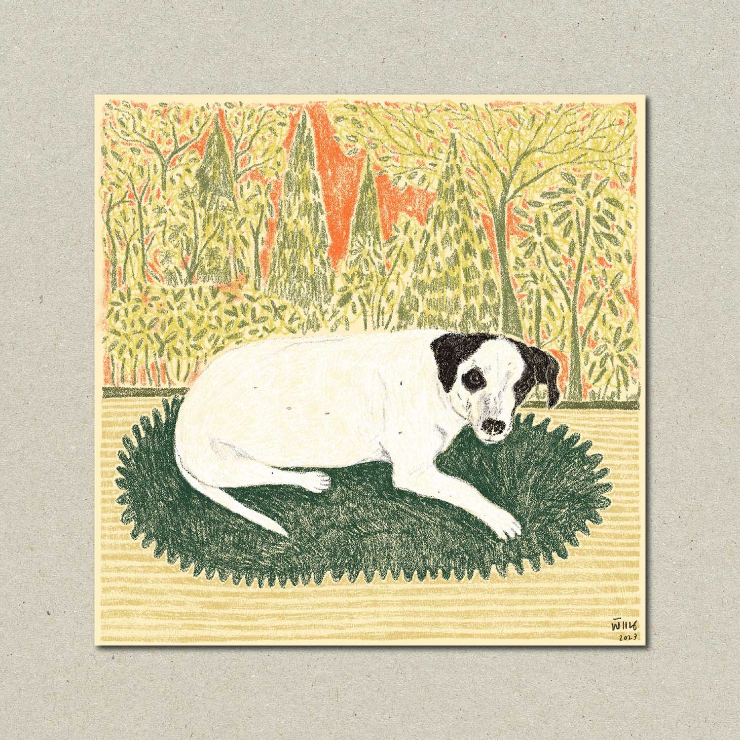 portrait of pawan (postcard)