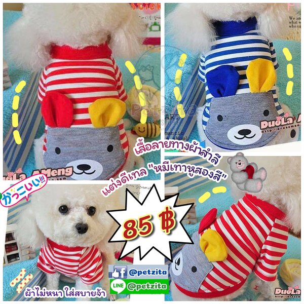 🇹🇭พร้อมส่ง🇹🇭🔵♥️🐻 เสื้อลายทางผ้าสำลี แต่งดีเทล ลาย พี่หมีเทาหูสองสี for pet สุนัข หมา แมว