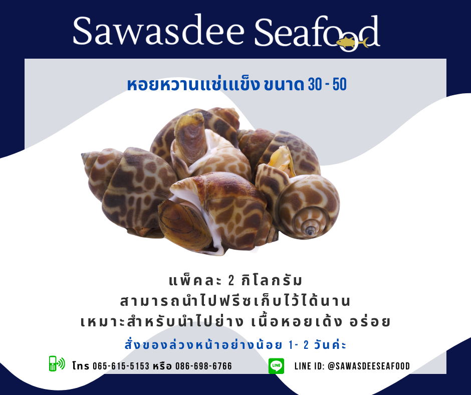 หอยหวานแช่แข็งขนาด 30-50 บรรจุแพ็คละ 2 กิโลกรัม