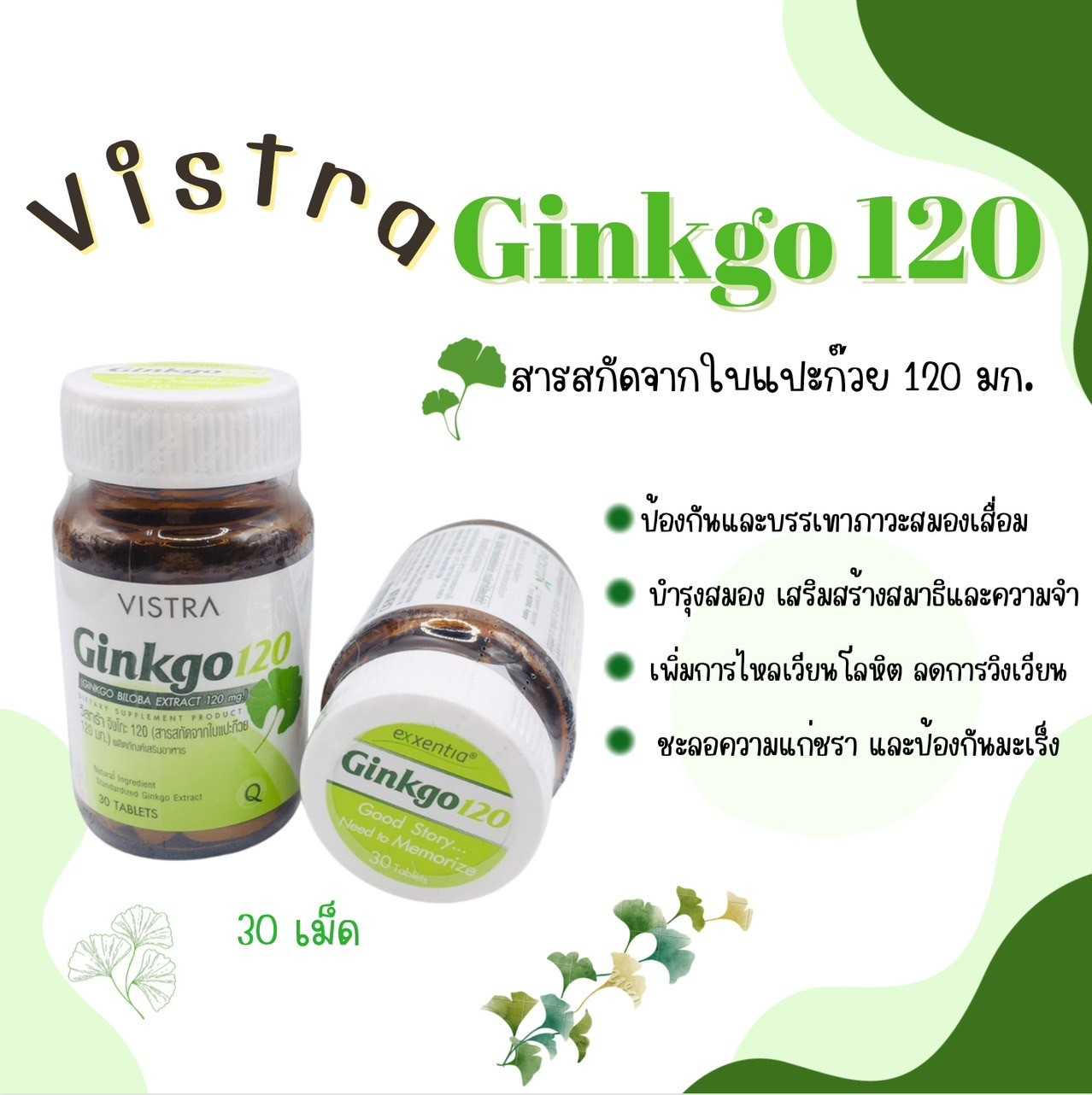 VISTRA GINKGO 120 MG สารสกัดจากใบแปะก๊วย 30เม็ด