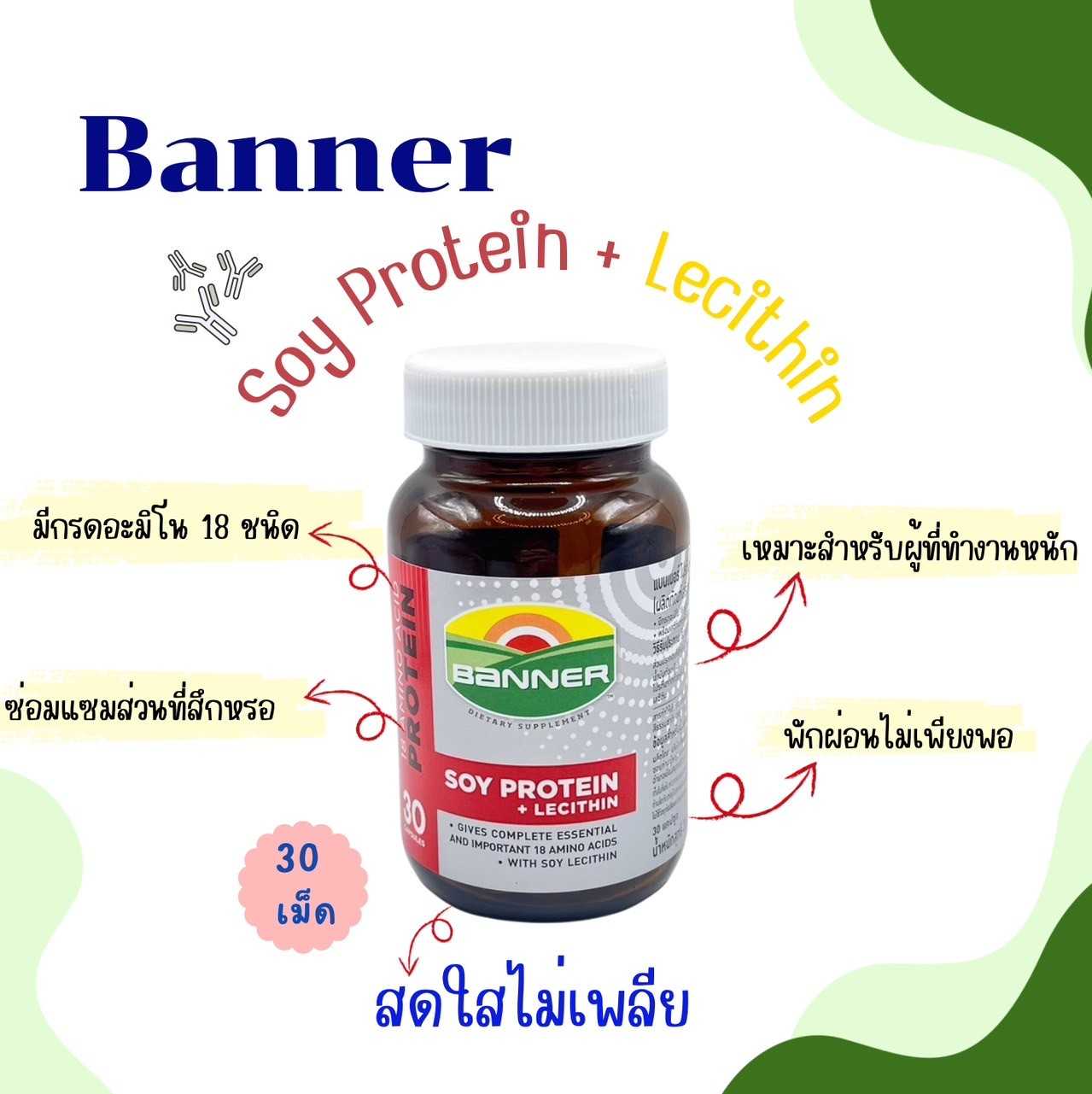 BANNER Soyprotein+Lecithin แบนเนอร์ซอยโปรตีน + เลซิติน 30เม็ด