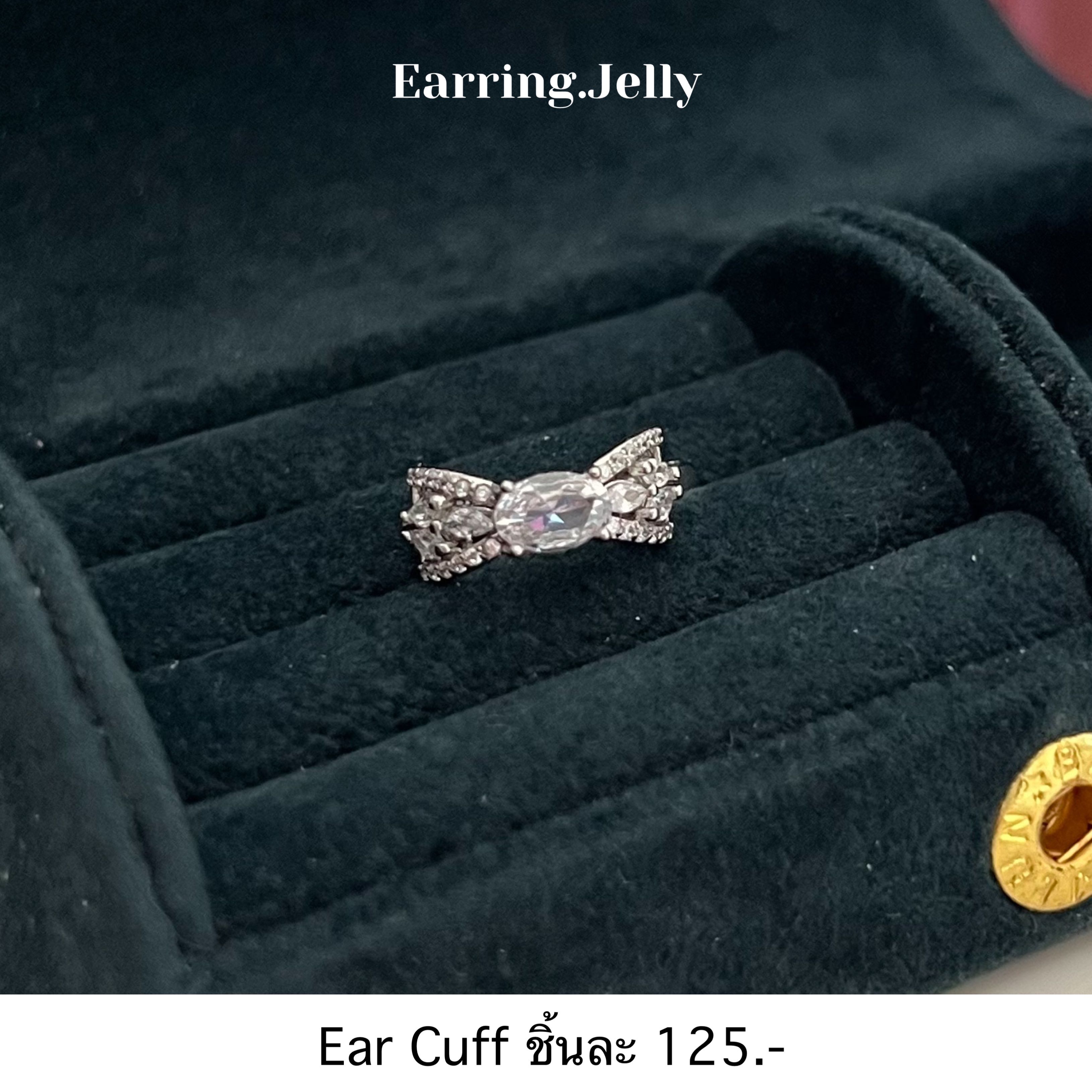 EFT2BGRCP-Earring main image 1