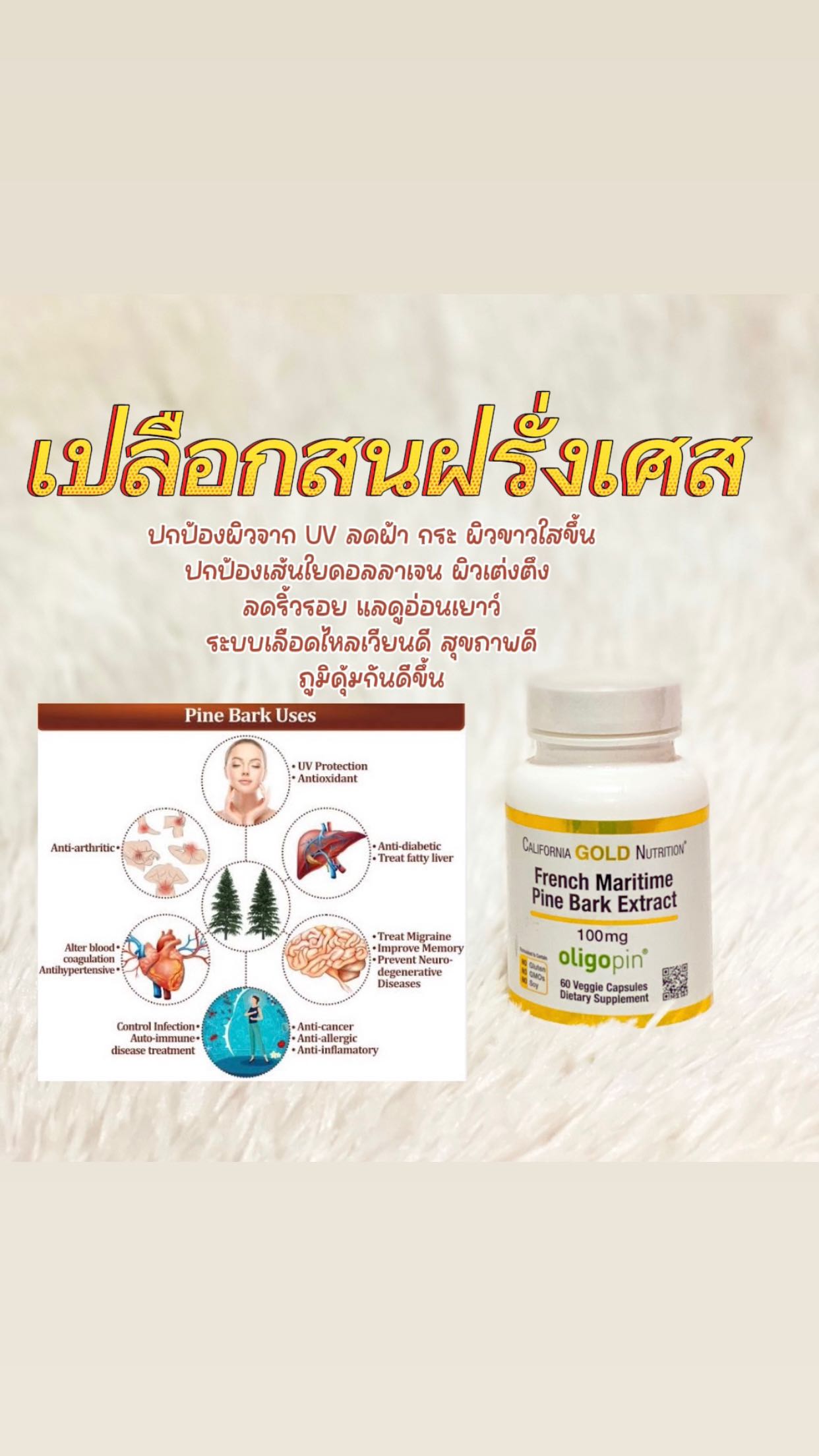  California Gold Nutrition French Maritime Pine Bark Extract  100 mg สารสกัดจากเปลือกสนฝรั่งเศส