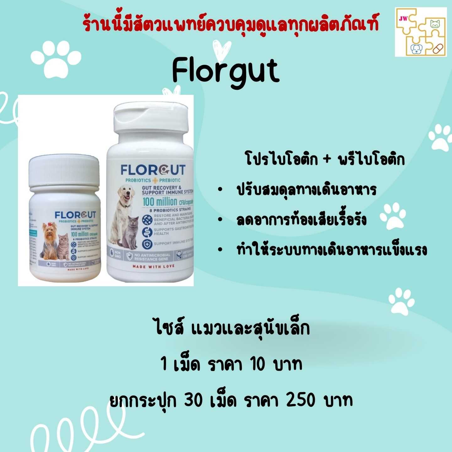 Florgut probiotic+prebiotic
