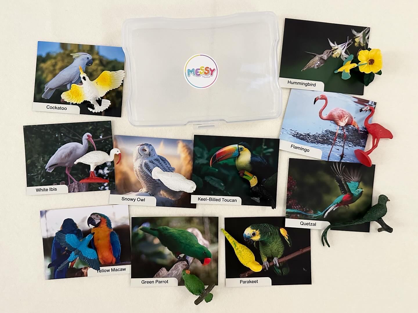 Exotic Bird Models with Cards