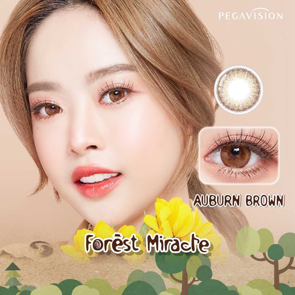 คอนแทคเลนส์สี รายวัน PEGAVISION รุ่น Forest Miracle สี Auburn Brown (10 เลนส์/กล่อง)
