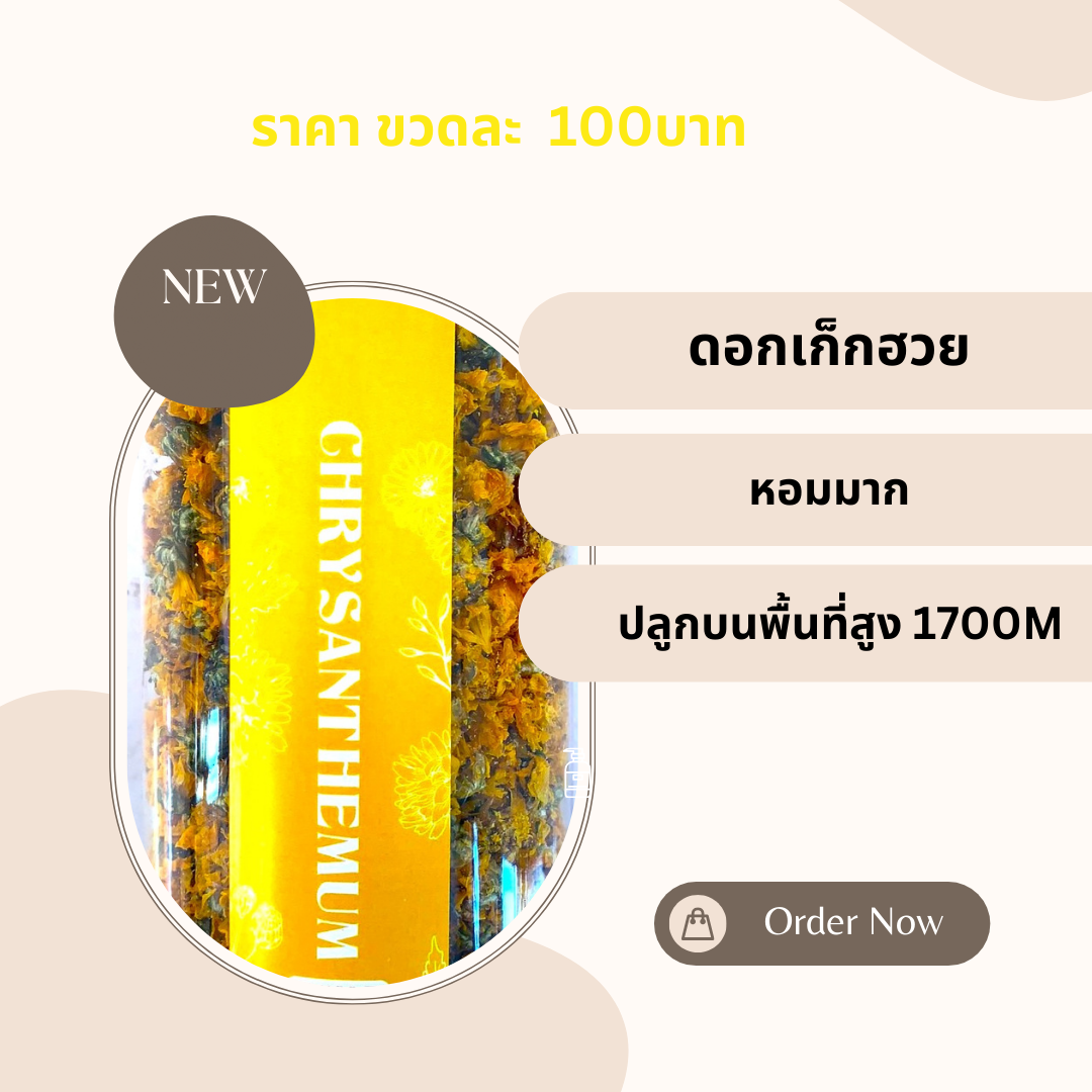 เก็กฮวย