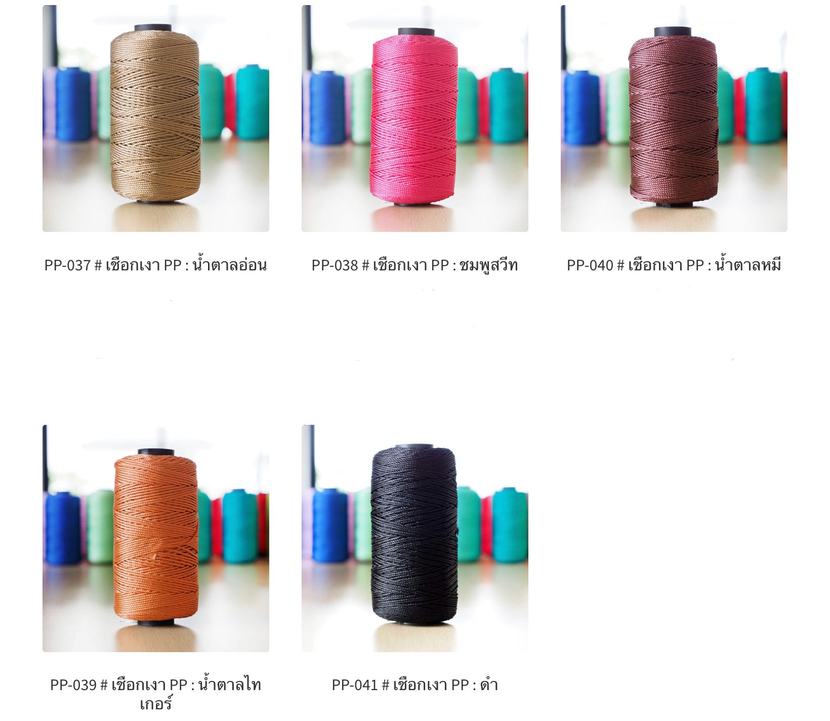 เชือกเงา PP สำหรับถักกระเป๋า  SET03