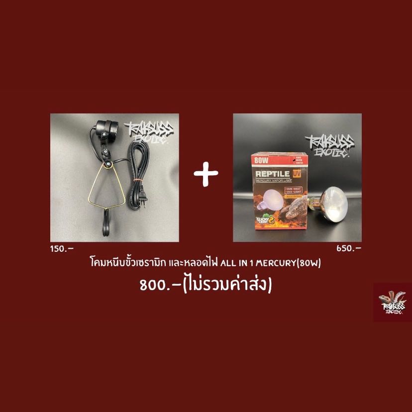Cheap Set : โคมหนีบ + All in 1 Mercury 80w (ใช้เปิดเวลากลางวัน 6-8ชม.)