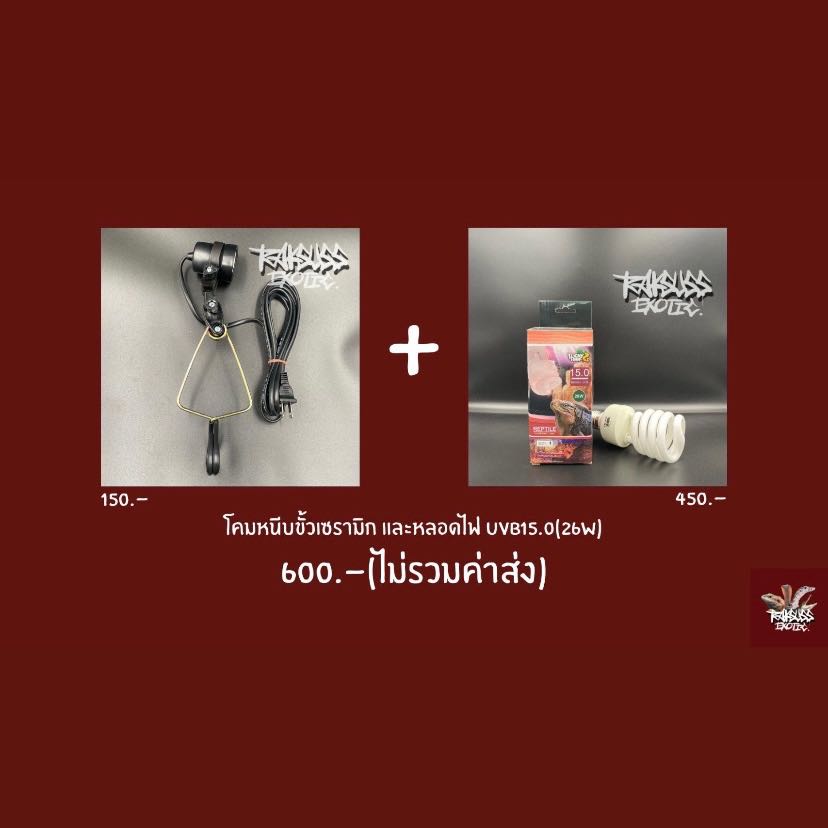 Cheap Set : โคมหนีบ + UVB15.0 26w (ใช้เปิดเวลากลางวัน 6-8ชม.)