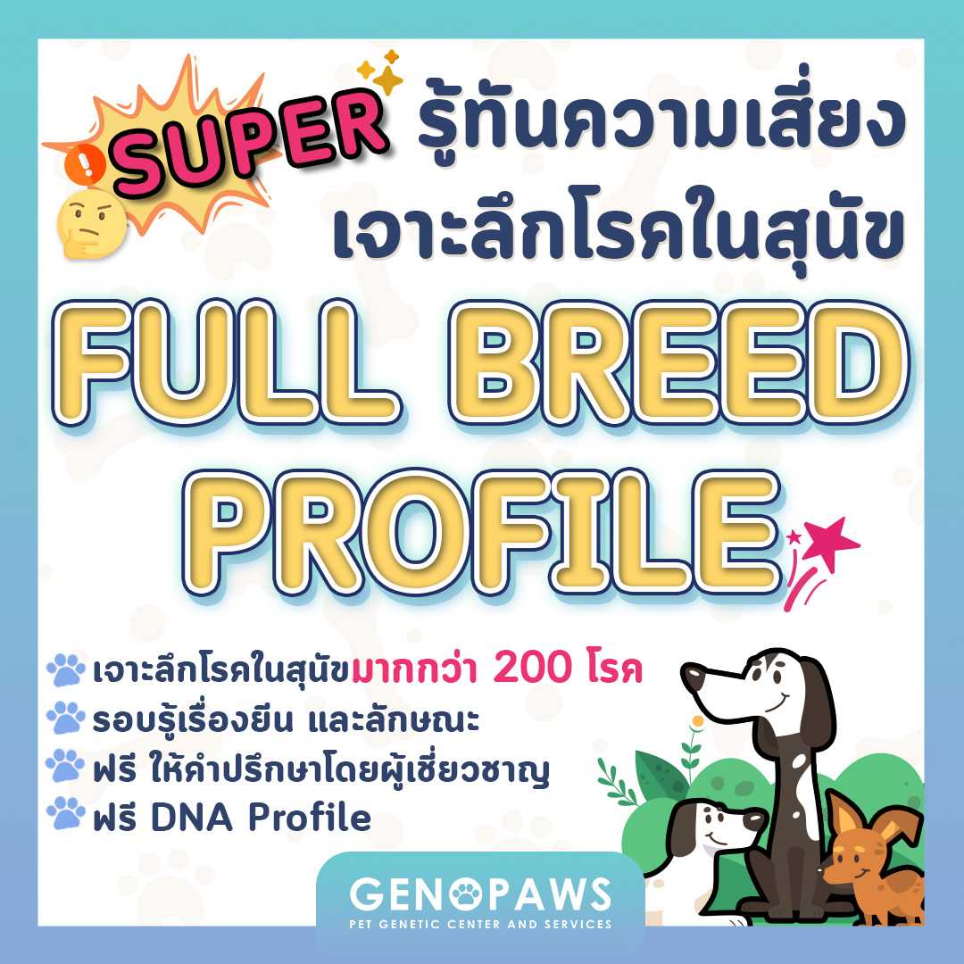 [GENOPAWS: DNA Test Kit] Super Full Breed Package - รู้ทันความเสี่ยงโรคทางพันธุกรรมในสุนัขทั้งหมด