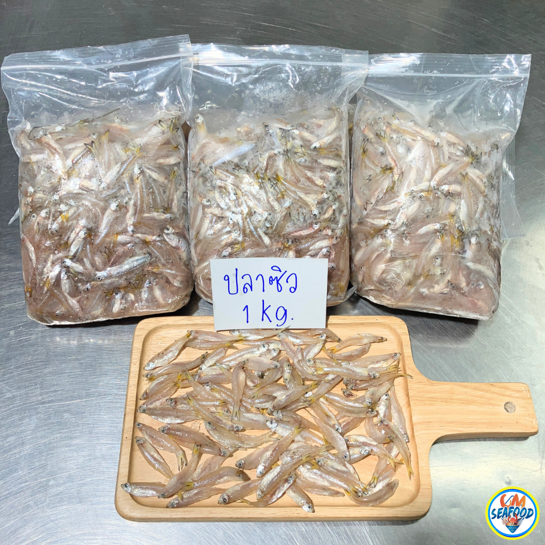(พรีออเดอร์ 3-5วันได้ ขั้นต่ำ 10แพ็ค) ปลาซิว 1kg/p x 5p/หิ้ว (ส่ง 5+ 57 บาท)