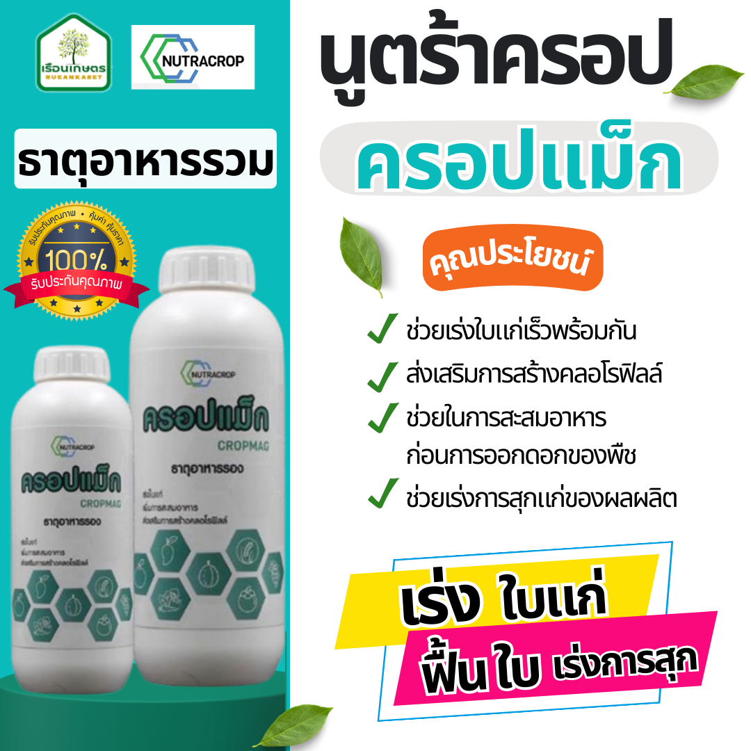 ครอปแม็ก (แมกนีเซียม) เร่งใบแก่ ฟื้นใบ เร่งการสุก ของแท้100% ขนาด 1 ลิตร