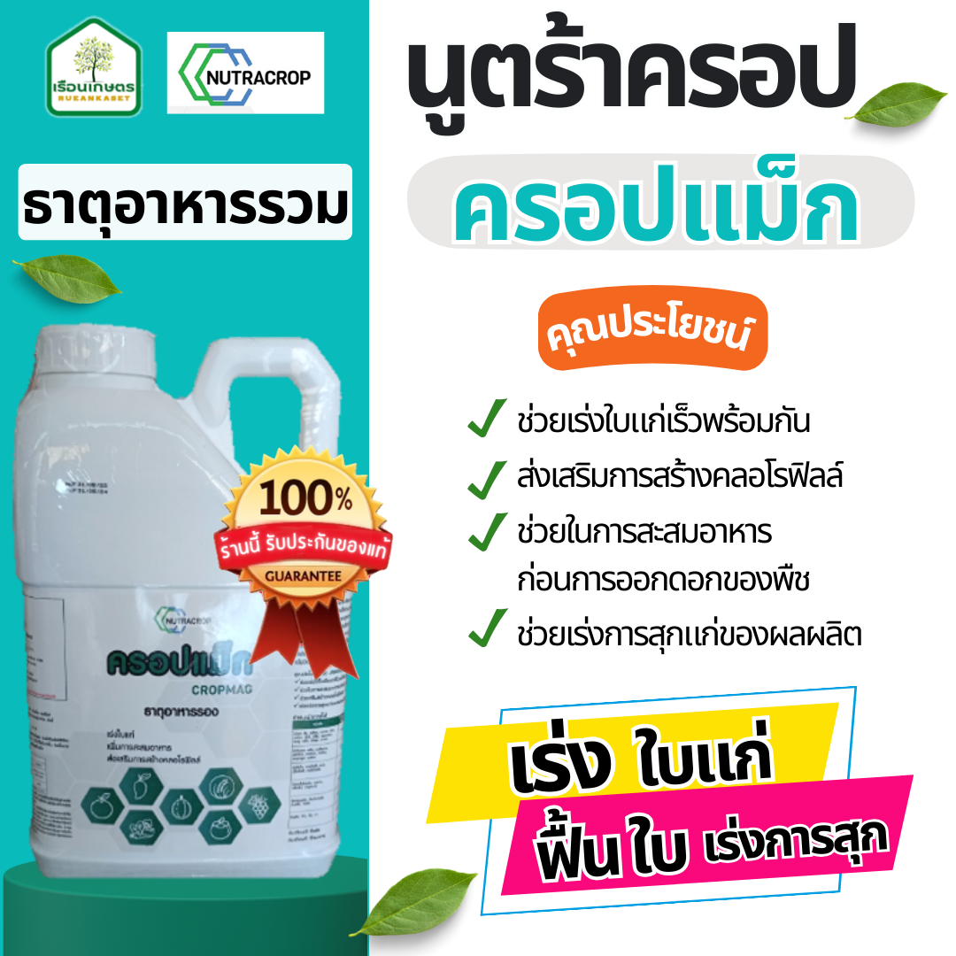ครอปแม็ก (แมกนีเซียม) เร่งใบแก่ ฟื้นใบ เร่งการสุก ของแท้100% ขนาด 5 ลิตร