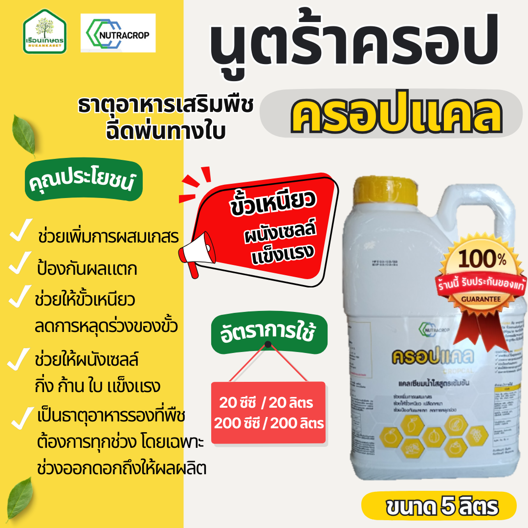 ครอปแคล (แคลเซียม-โบรอน) ช่วยให้ขั้วเหนียว ลดการหลุดร่วงของขั้ว ป้องกันผลแตก ของแท้100% ขนาด 5 ลิตร