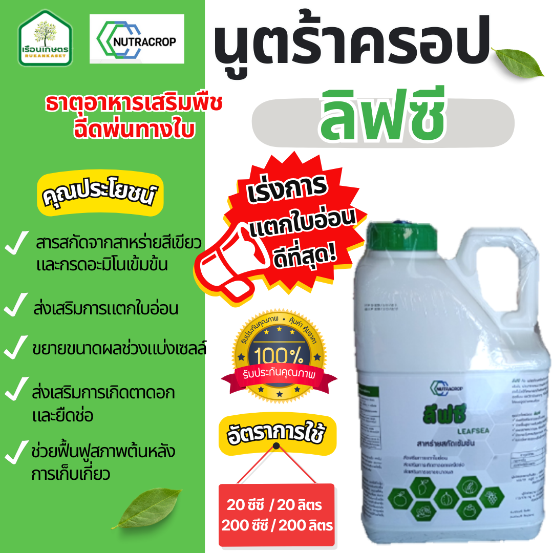 ลิฟซี (สาหร่ายเขียว)-ธาตุอาหารเสริมฉีดพ่นทางใบ ช่วยเร่งการแตกใบอ่อนได้ดี ของแท้100% ขนาด 5 ลิตร