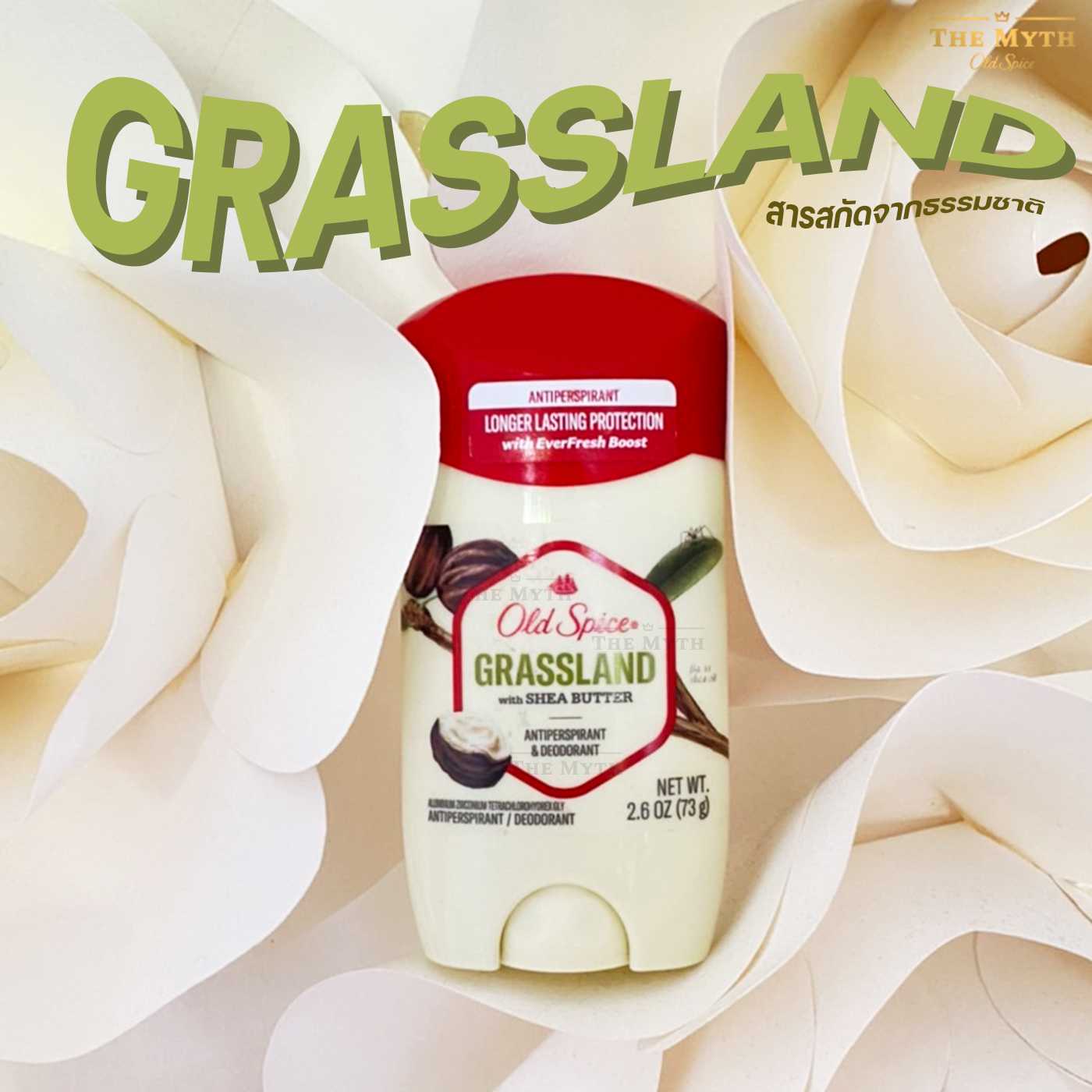 Old Spice โรลออน กลิ่น Grassland หอมวานิลลาผสมทุ่งหญ้า หวานขนมสดชื่น ผสมเชียร์บัตเตอร์