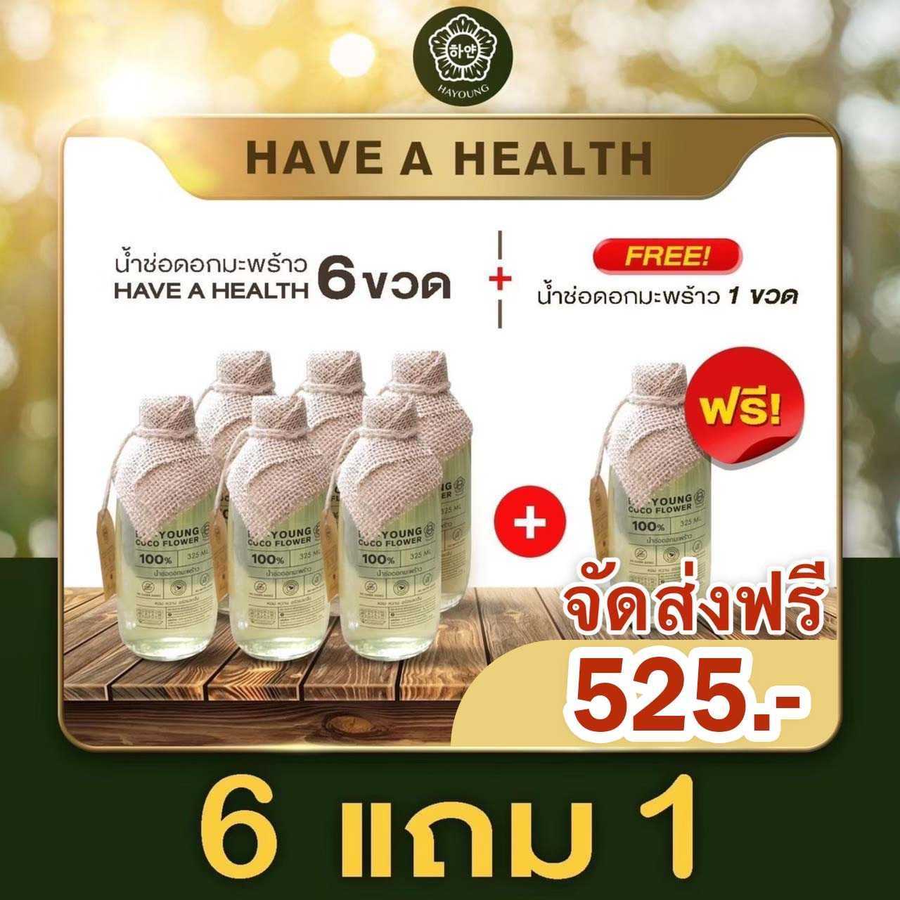 [ 6 แถม 1 ] น้ำช่อดอกมะพร้าว100% ตรา ฮายัง ขนาด 320 ml./ขวด - HAYOUNG HAVE A HEALTH