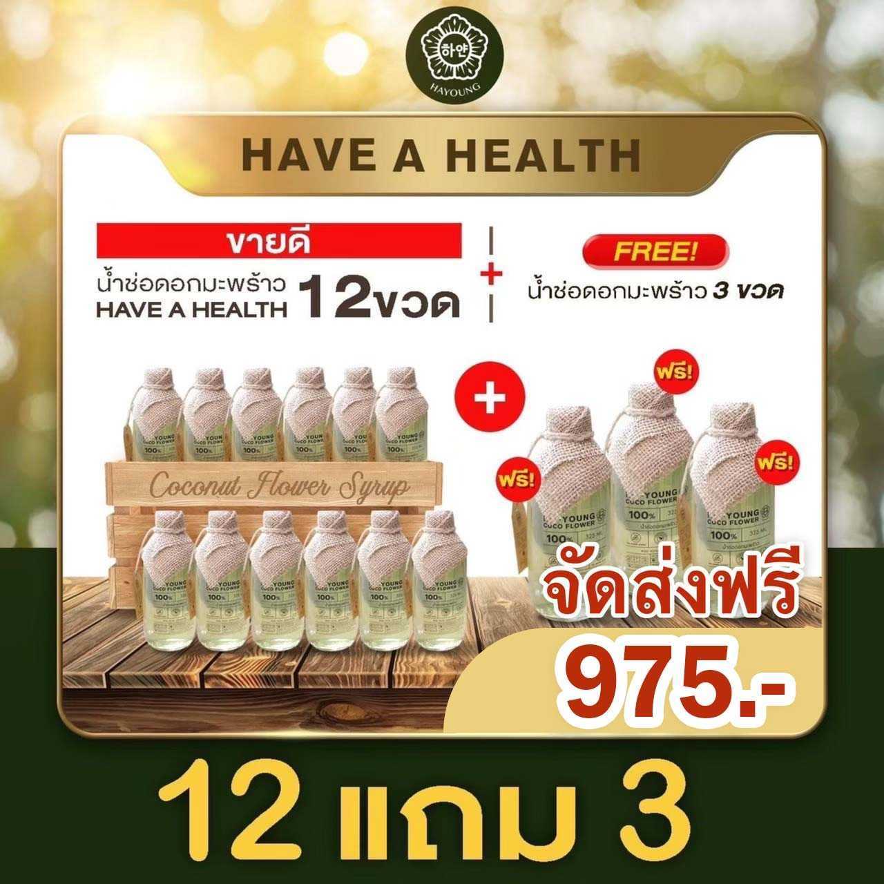 [ 12 แถม 3 ] น้ำช่อดอกมะพร้าว100% ตรา ฮายัง ขนาด 320 ml./ขวด - HAYOUNG HAVE A HEALTH