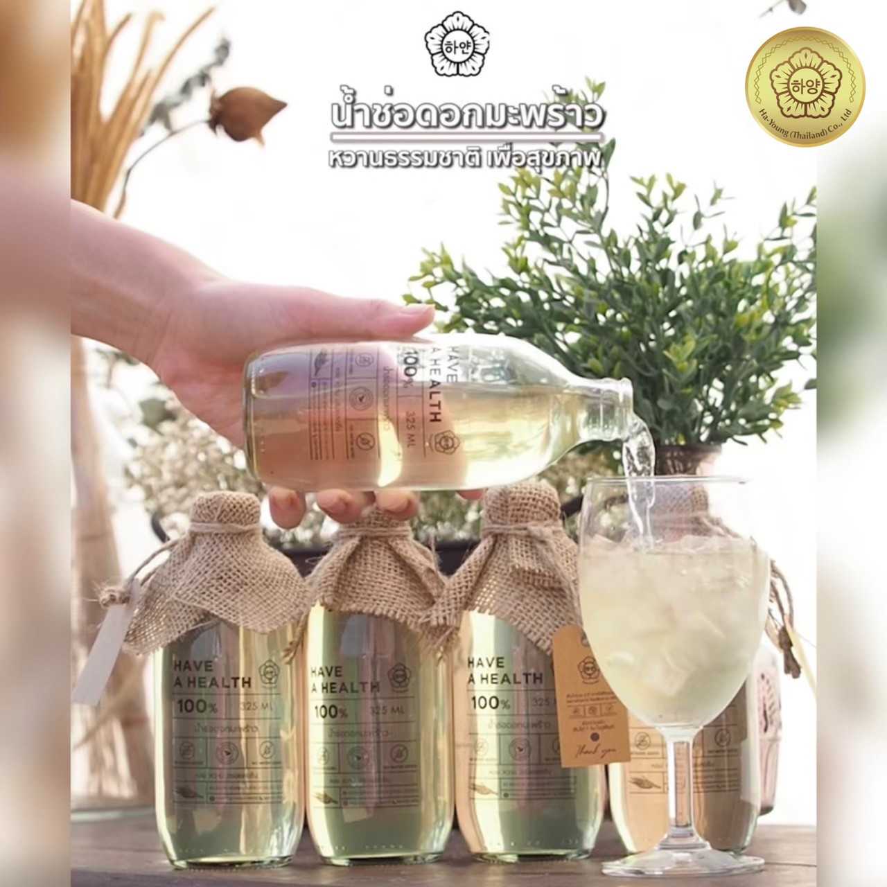 น้ำช่อดอกมะพร้าว100% ตรา ฮายัง ขนาด 320 ml./ขวด - HAYOUNG HAVE A HEALTH
