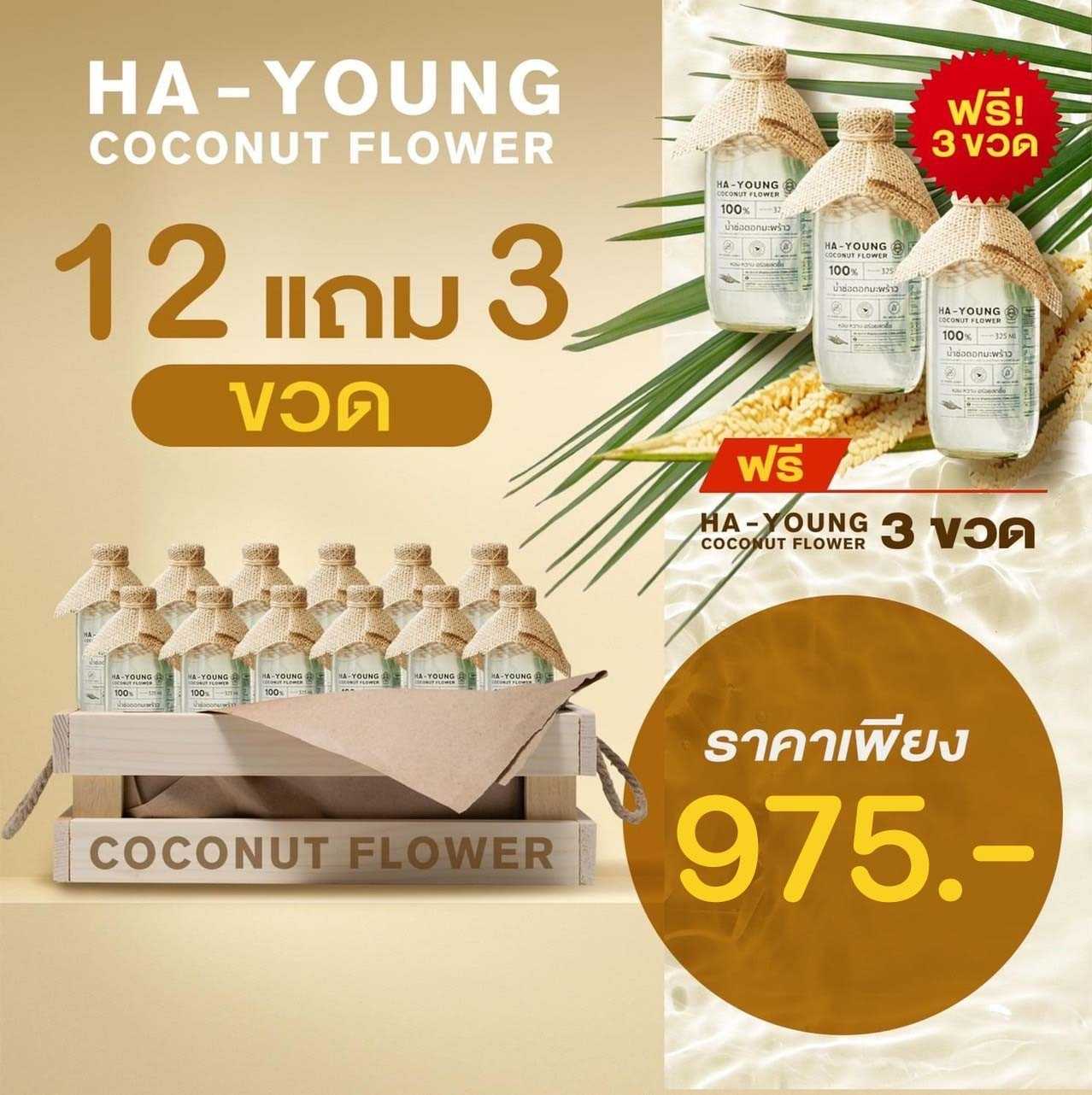 [ โปร 12 แถม 3 ] น้ำช่อดอกมะพร้าว100% ตรา ฮายัง ขนาด 320 ml./ขวด - HAYOUNG HAVE A HEALTH