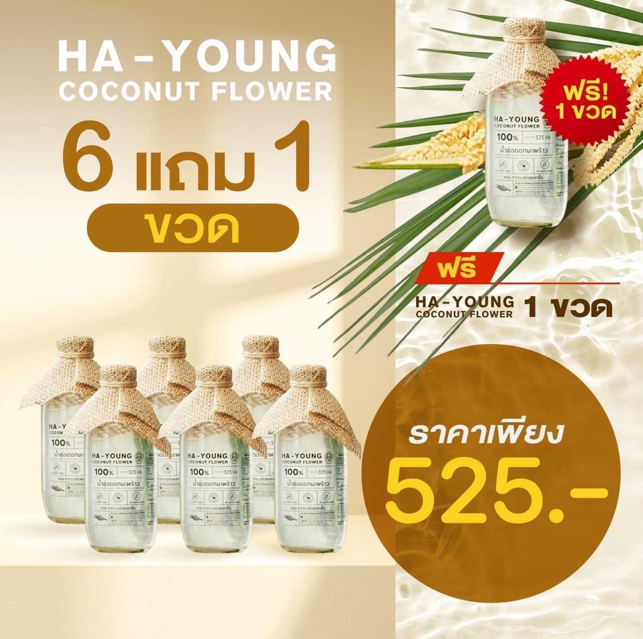 [ โปร 6 แถม 1 ] น้ำช่อดอกมะพร้าว100% ตรา ฮายัง ขนาด 320 ml./ขวด - HAYOUNG HAVE A HEALTH