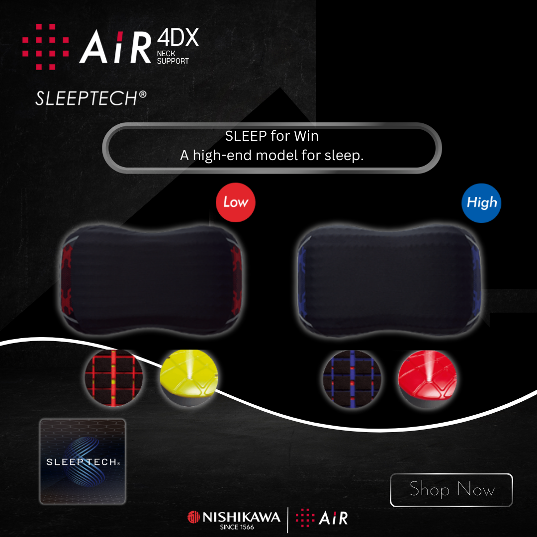 AiR 4DX Pillow