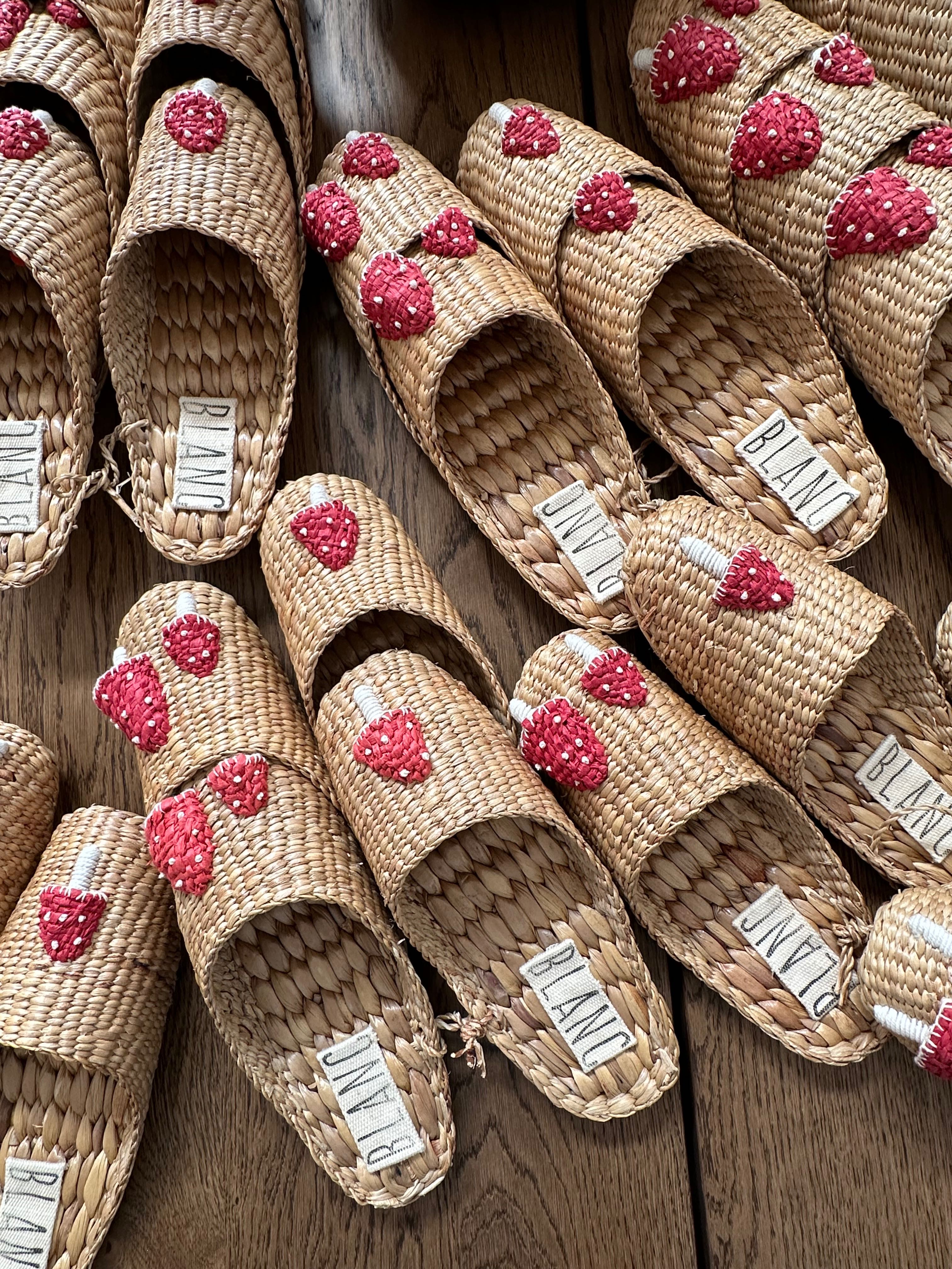 รองเท้า Slippers ปัก เห็ด 3 มิติ พร้อมส่ง
