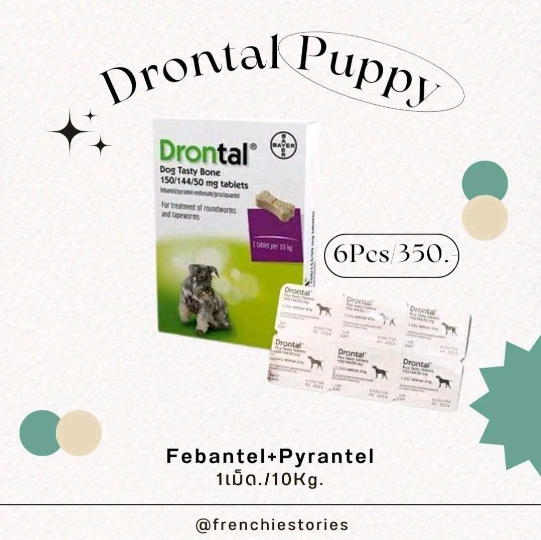 Drontal dog รสเนื้อ สูตรใหม่ ทานง่าย อร่อยกว่าเดิม