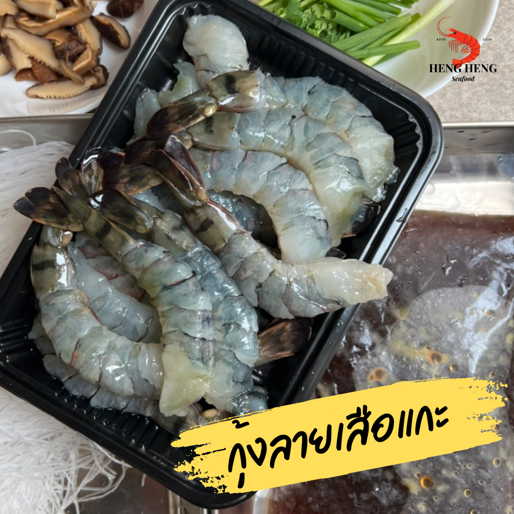 กุ้งลายเสือแกะ