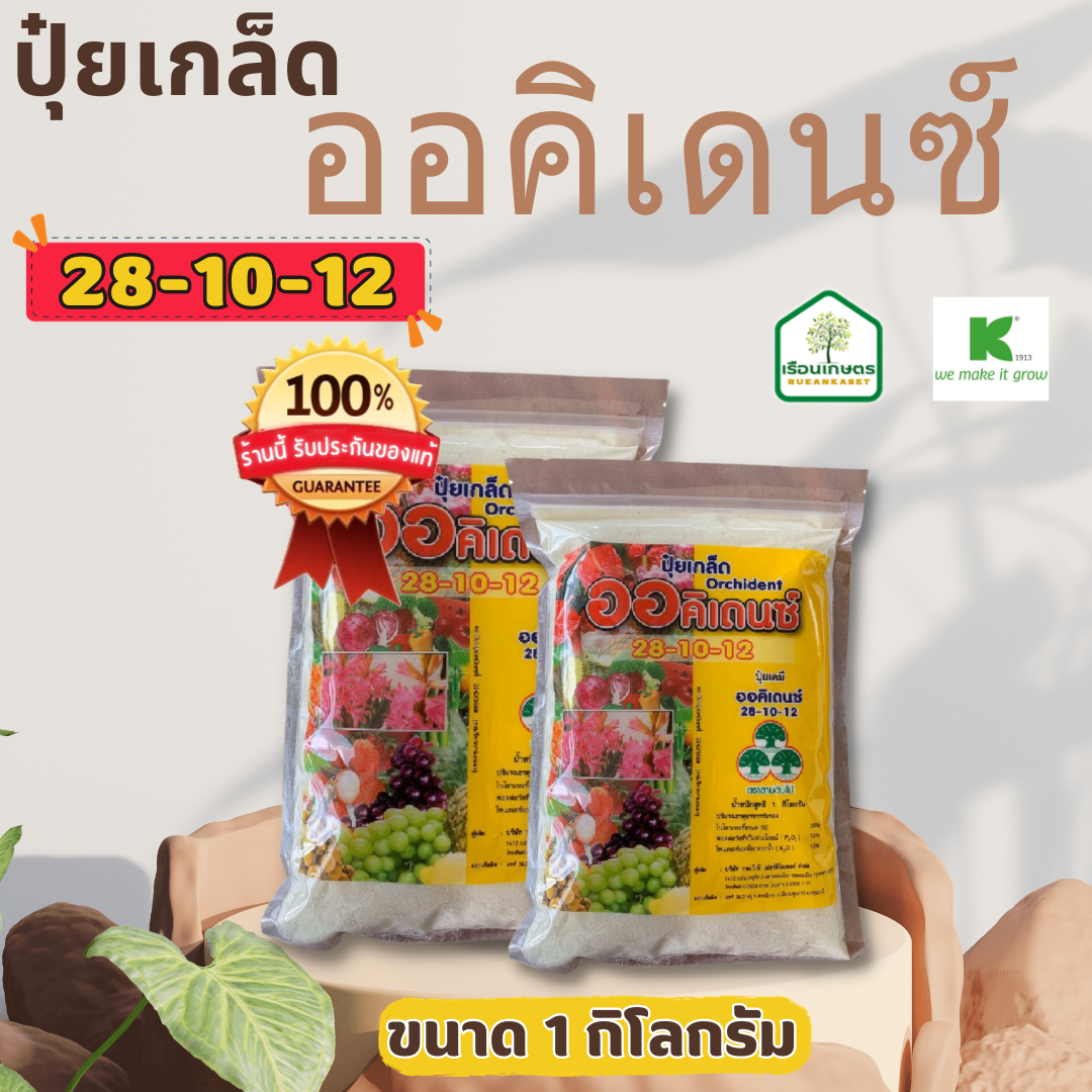 ปุ๋ยเกร็ดออคิเดนซ์ สูตร 28-10-12 ช่วยเร่งต้นและใบ ช่วยให้พืชทนทานต่อโรคและแมลง ขนาด 1 กิโลกรัม
