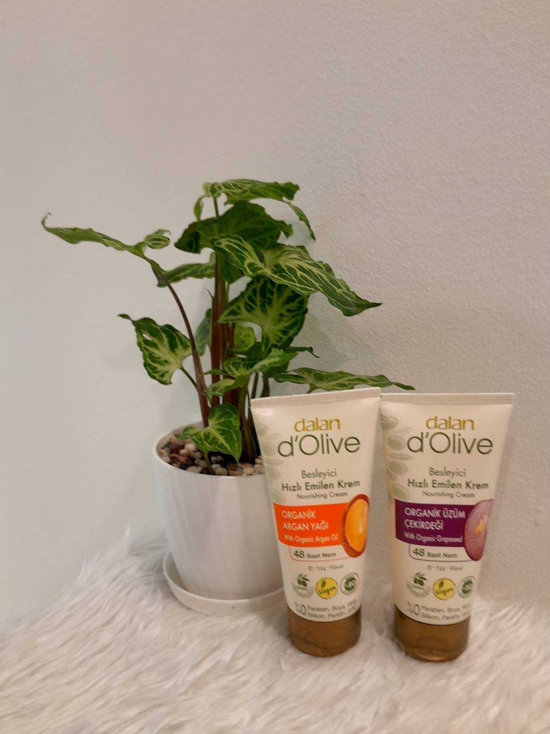 Dalan D’Olive Nourishing Cream 60ml.