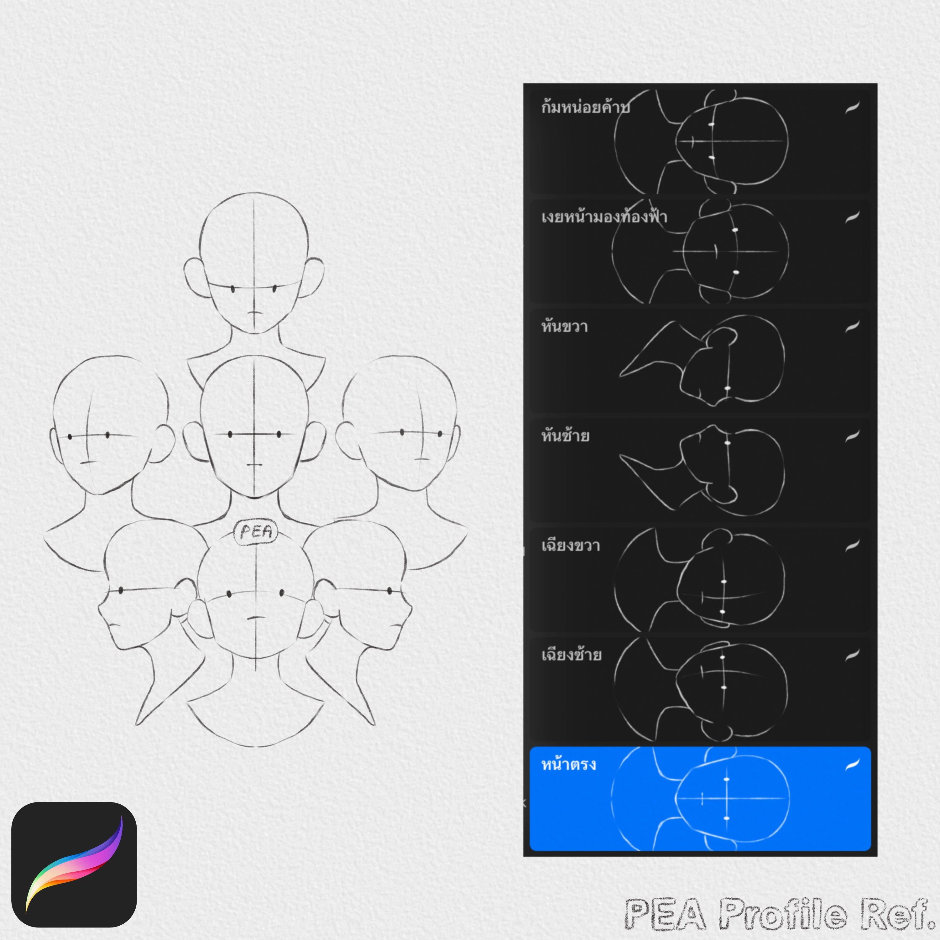 PEA Profile Ref. ( stamp brush)
