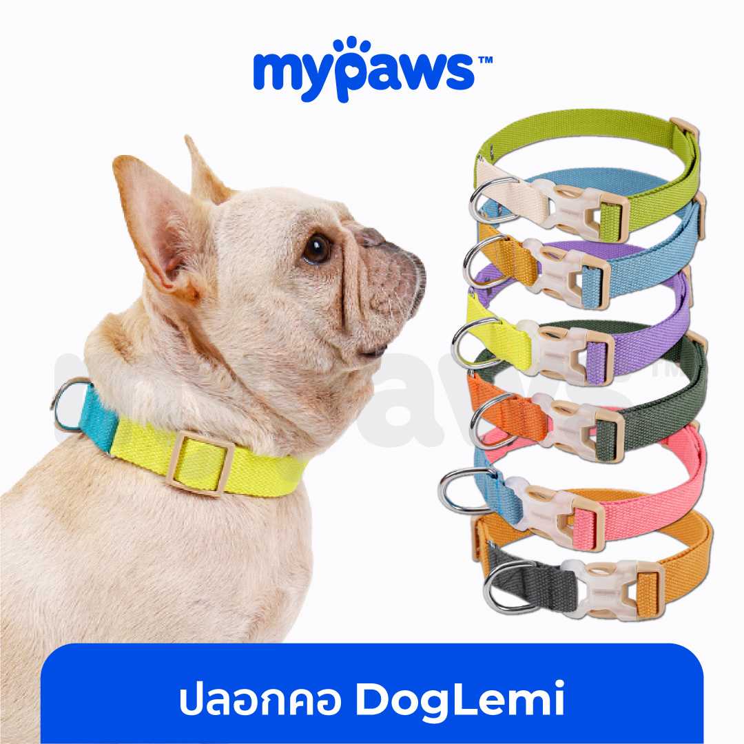 My Paws ปลอกคอ DogLemi  ทูโทน สำหรับสุนัขขนาดกลาง - ขนาดใหญ่