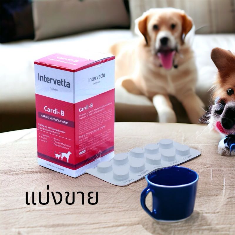 ( 1 แผง 10 เม็ด ) Dr. Choice Cardi B Intervetta บำรุงหัวใจ สุนัข แมว supplement dog cat/ Exp 25/4/25