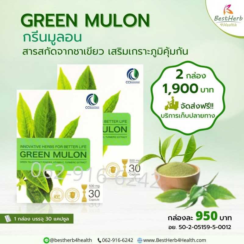 Green Mulon กรีนมูลอน ดูแลภูมิแพ้อากาศ แพ้ฝุ่น คัน จาม น้ำมูกไหล