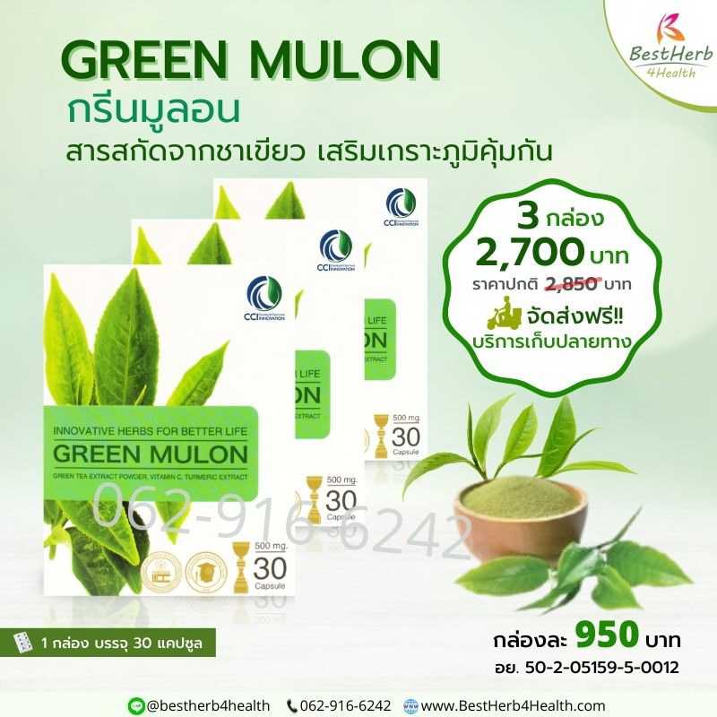 Green Mulon กรีนมูลอน ดูแลภูมิแพ้อากาศ แพ้ฝุ่น คัน จาม น้ำมูกไหล