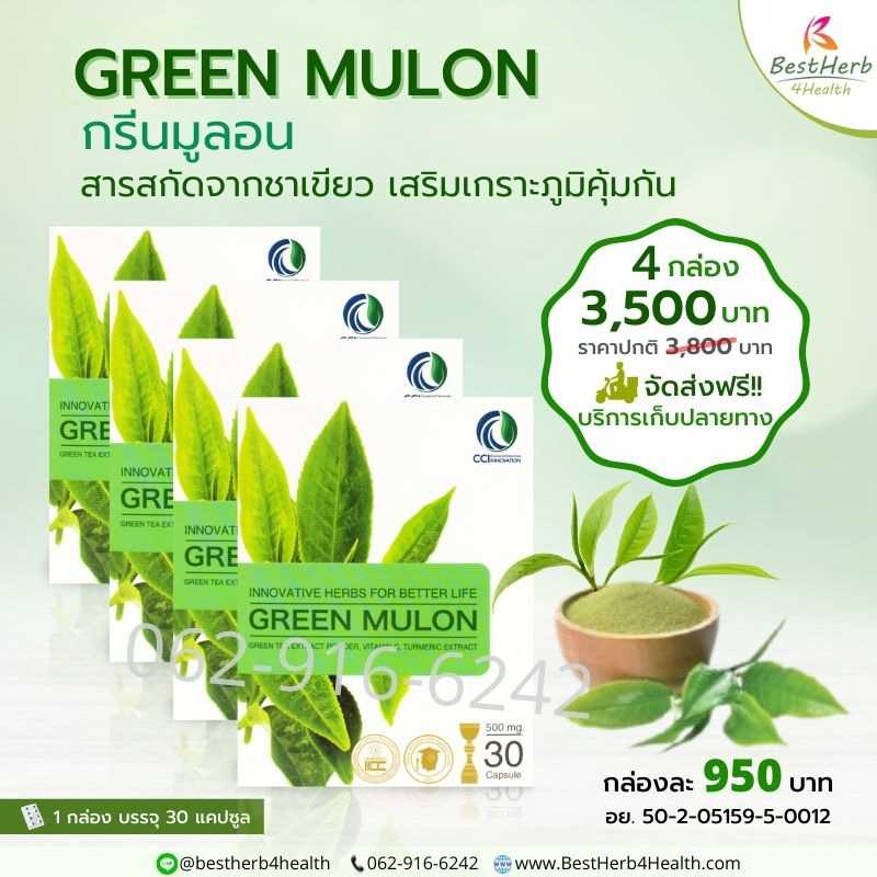 Green Mulon กรีนมูลอน ดูแลภูมิแพ้อากาศ แพ้ฝุ่น คัน จาม น้ำมูกไหล