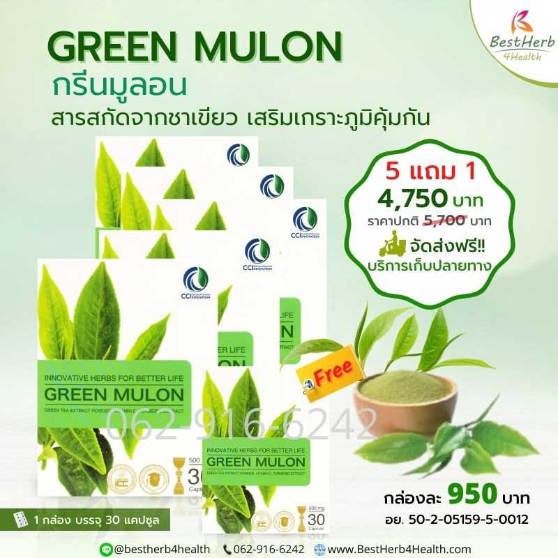 Green Mulon กรีนมูลอน ดูแลภูมิแพ้อากาศ แพ้ฝุ่น คัน จาม น้ำมูกไหล