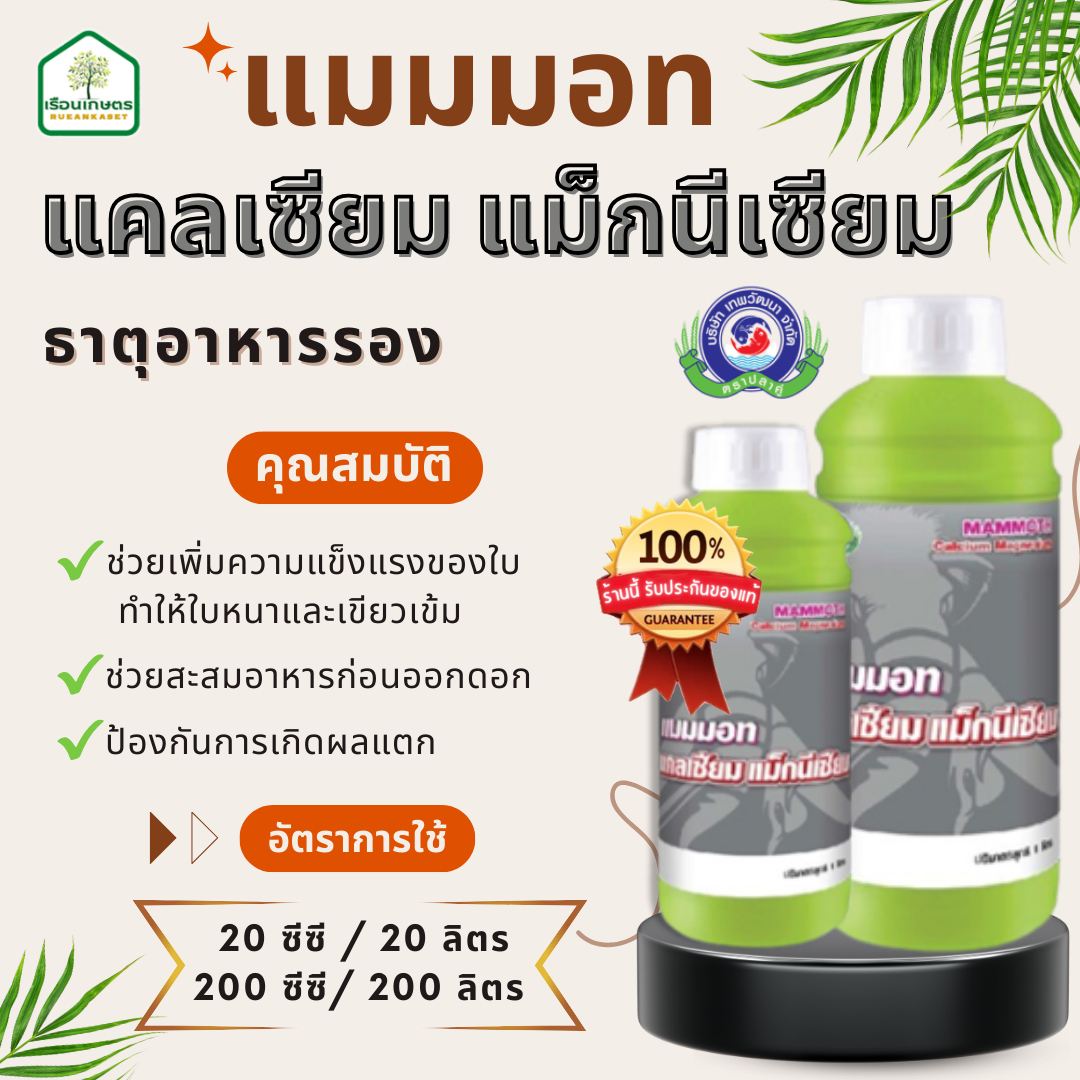 แมมมอท แคลเซียม-แมกนีเซียม ช่วยสะสมอาหาร ป้องกันผลแตก ของแท้100% ขนาด 1 ลิตร