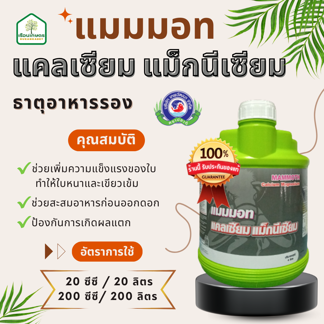 แมมมอท แคลเซียม-แมกนีเซียม ช่วยเพิ่มความแข็งแรงของใบ ช่วยสะสมอาหารก่อนออกดอก ของแท้ 100% ขนาด 5 ลิตร