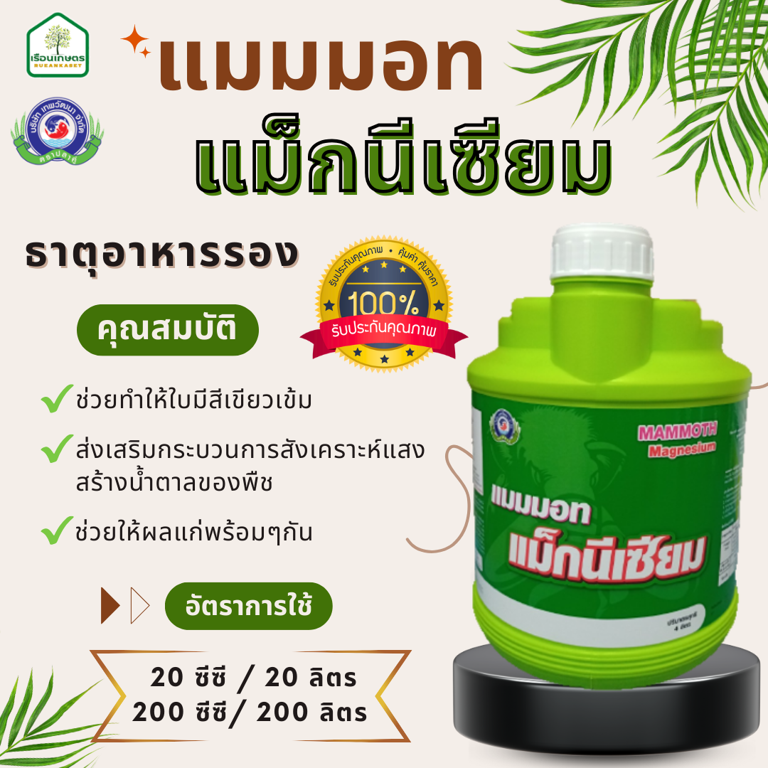 แมมมอท แม็กนีเซียม ของแท้ 100% ธาตุอาหารพืชที่เป็นองค์ประกอบของคลอโรฟิลล์ ขนาด 4 ลิตร