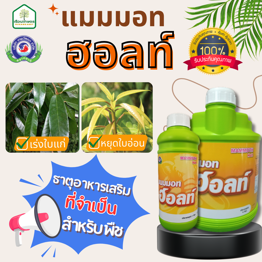 แมมมอท ฮอลล์ แคลเซียม 14% เร่งใบแก่ ของแท้100% ขนาด 1 ลิตร