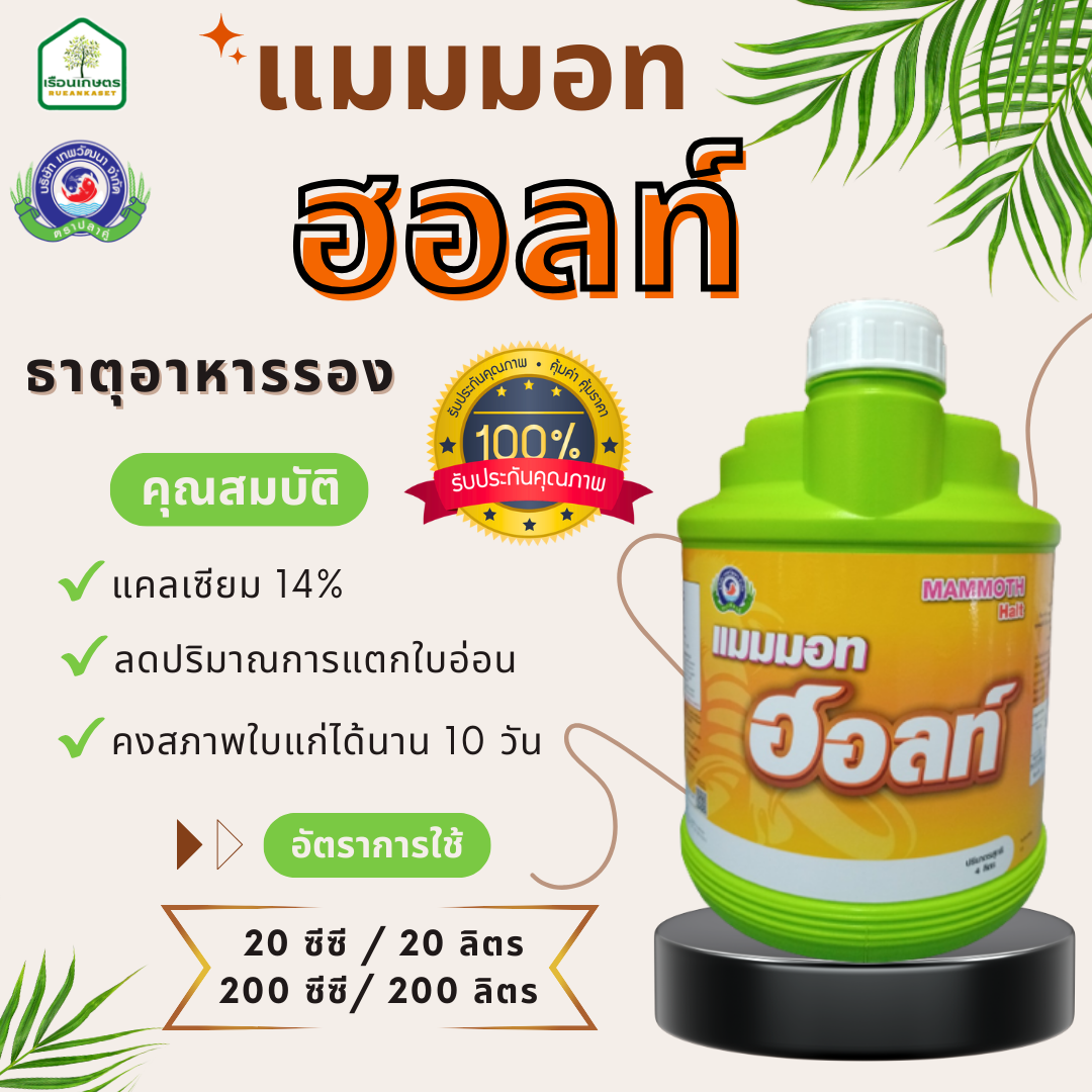 แมมมอท ฮอลล์ แคลเซียม 14% เร่งใบแก่ ของแท้100% ขนาด 4 ลิตร